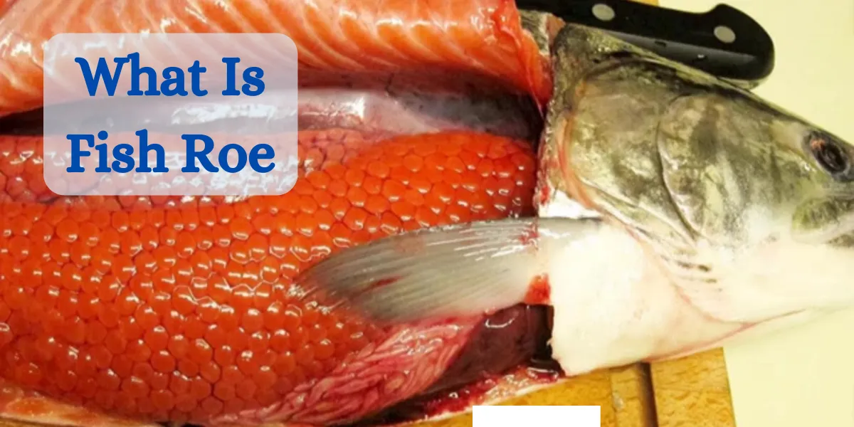 what is fish roe