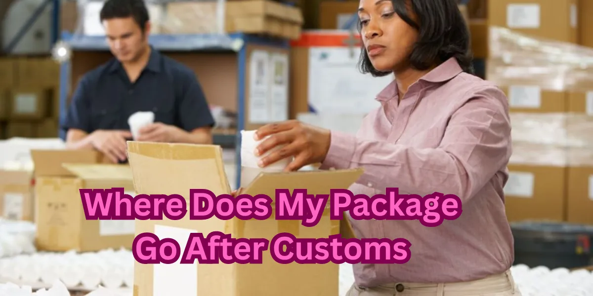 Where Does My Package Go After Customs