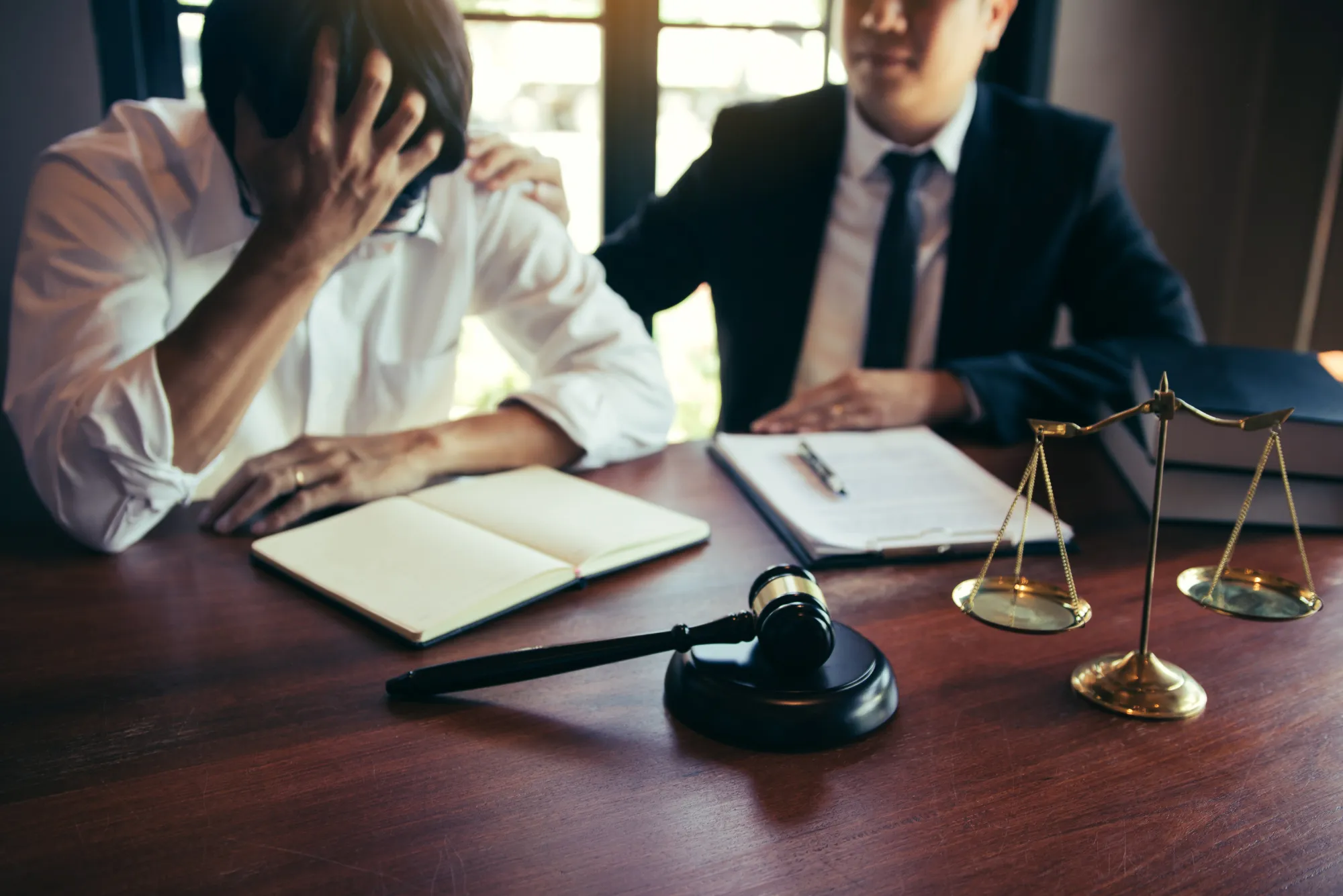 FAQ Do Free Zone Companies in Dubai Have the Same Legal Rights in Government Disputes